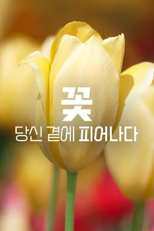 ๊ฝ, ๋น์ ๊ณ์ ํผ์ด๋๋ค
