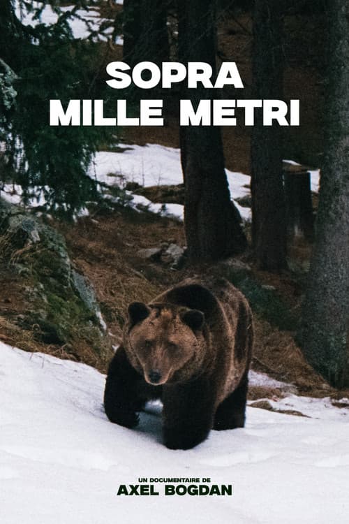 Sopra Mille Metri