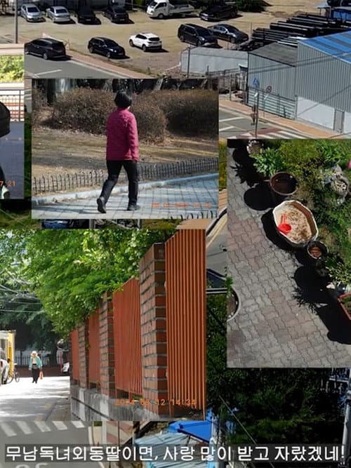 Korea's Funniest Home Videos