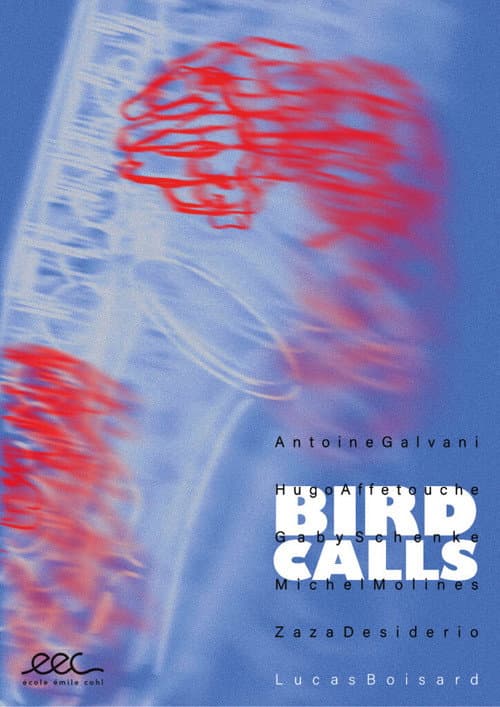 Bird Calls