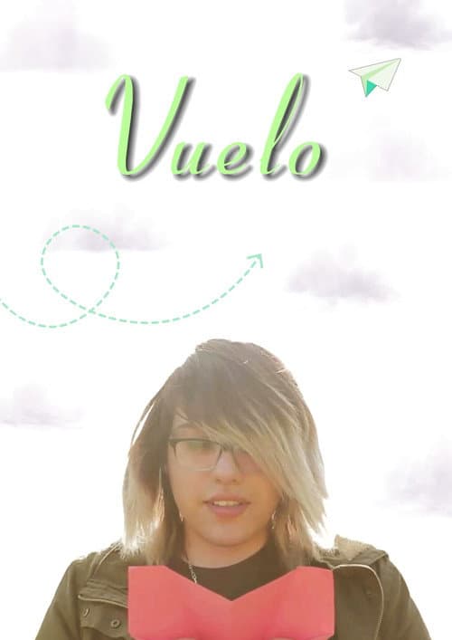 Vuelo