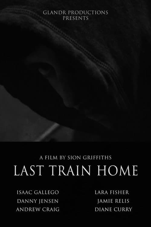Last Train Home