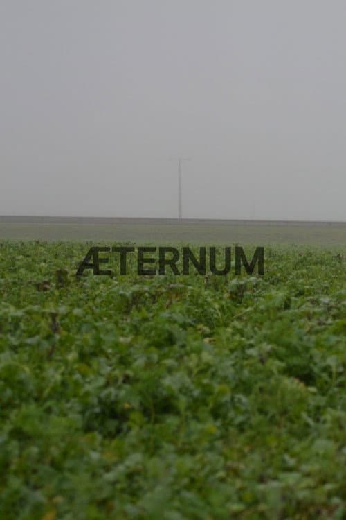 Æternum