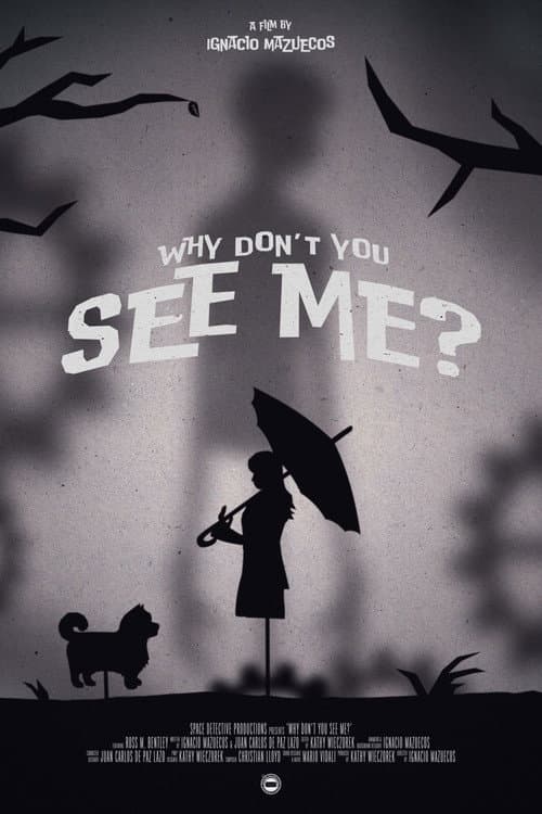 Why Don't You See Me?
