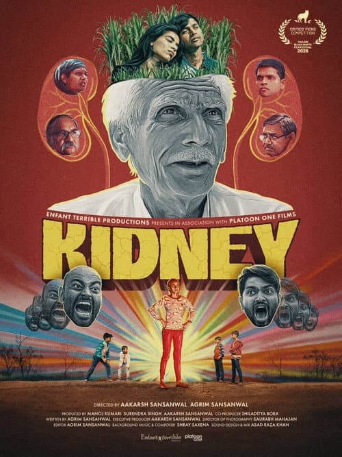 Kidney