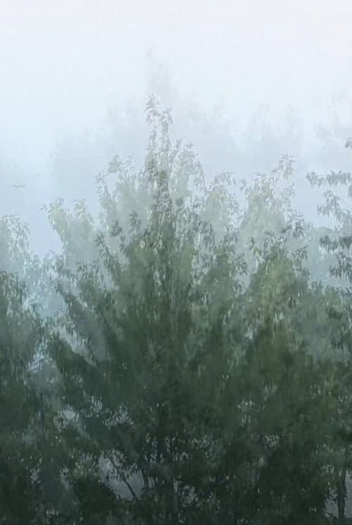 Wind