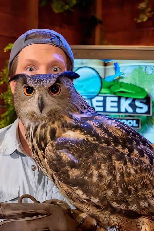 Freeks Jungle School