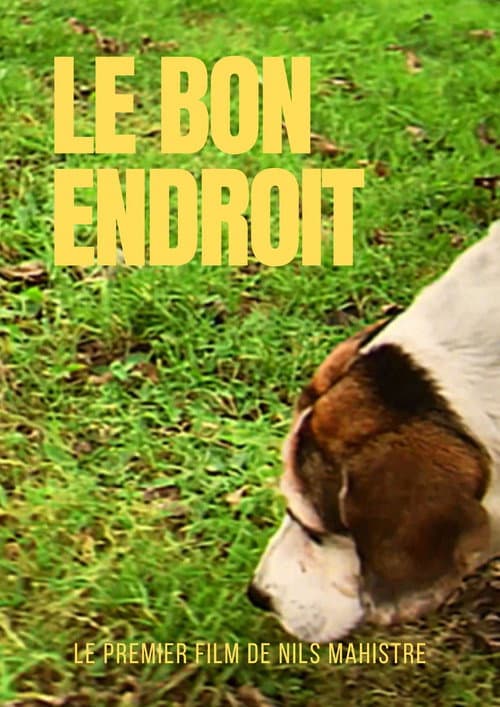 Le bon endroit