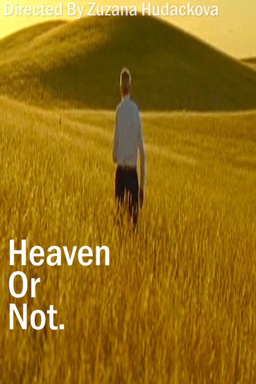 Heaven Or Not