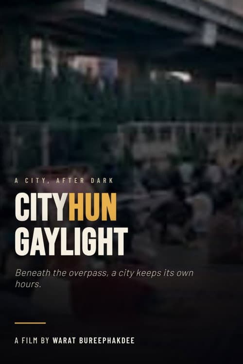 CityHun​ GayLight