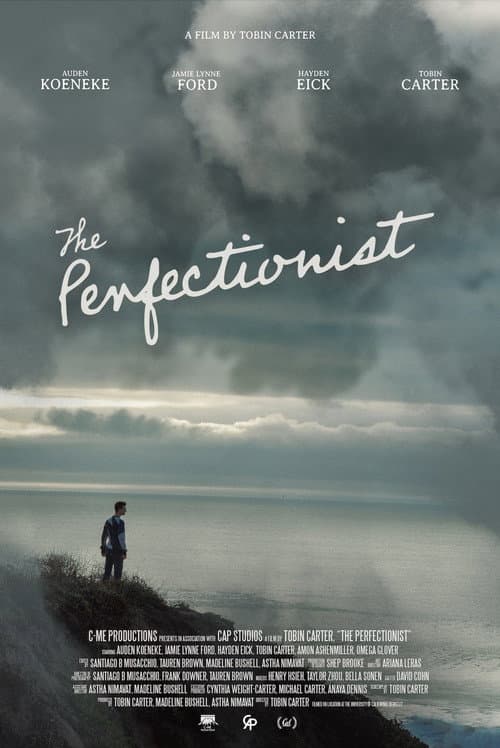 The Perfectionist