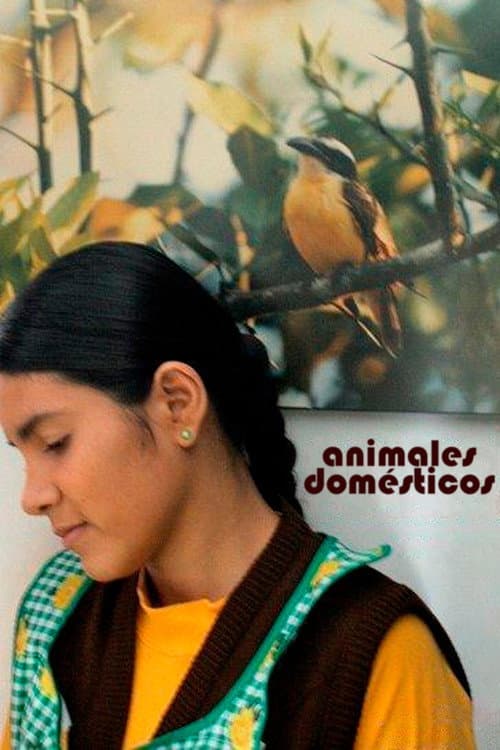 Animales Domésticos