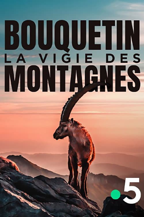 Bouquetin, la vigie des montagnes