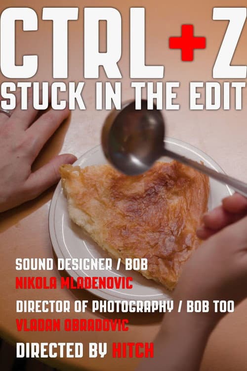 CTRL+Z Stuck in the Edit