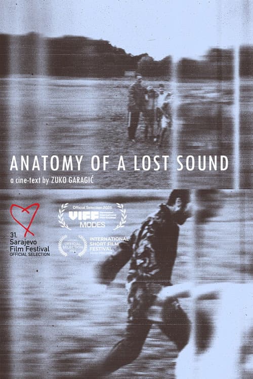 Anatomy of a Lost Sound
