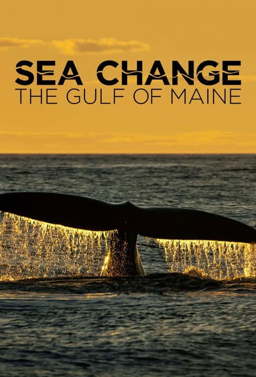 Sea Change: The Gulf of Maine