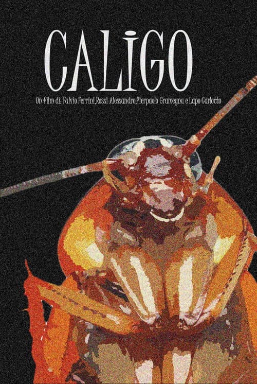 Caligo