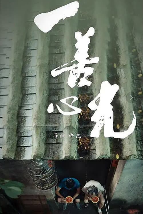 一善心光