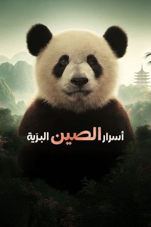 China's Wild Secrets
